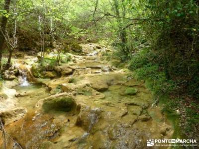 Cañones Ebro, Alto Campoo, Brañosera,Valderredible; viaje de semana santa agencia de viajes en aut